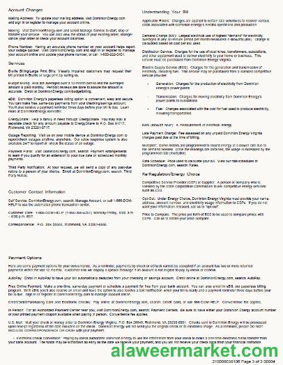 USA Dominion Energy utility bill template in Word and PDF formats, 3 pages, 3rd page